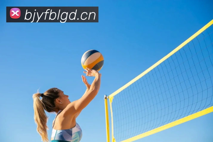 开云手机登录官网平台生态图