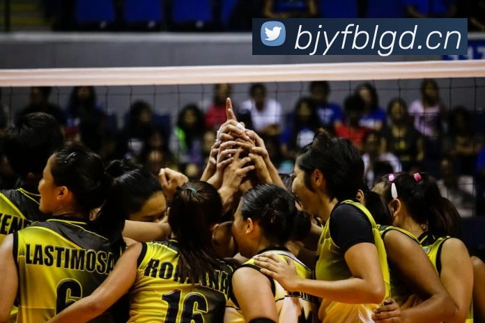 开云手机登录官网APP 封面图